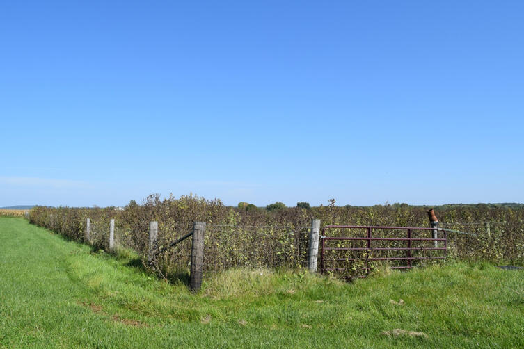 4.5 million gallons of manure storage