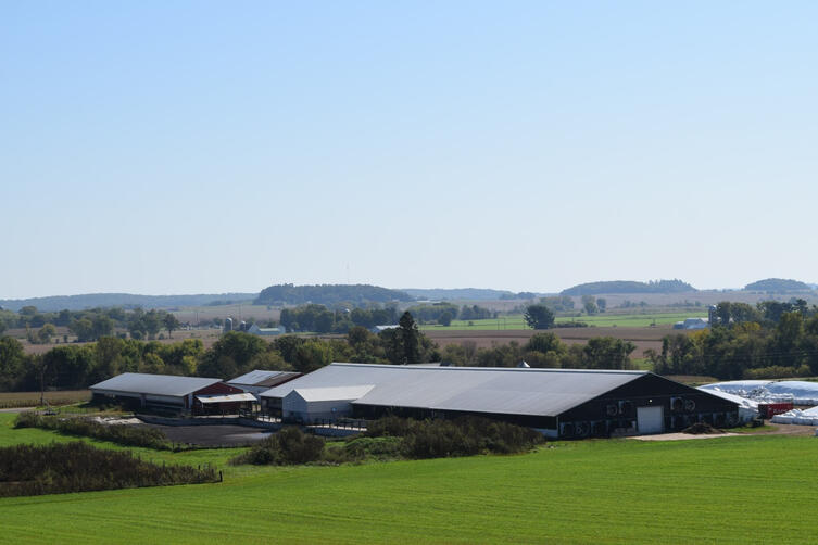 500-stall tunnel-ventilated freestall barn