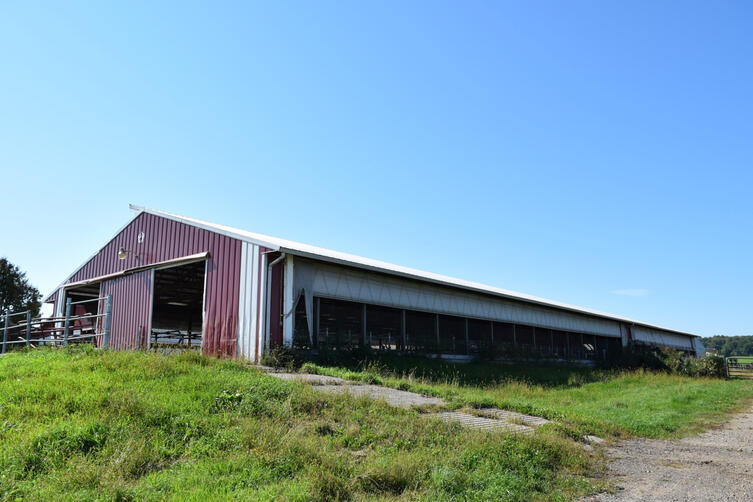 120-stall dry cow / heifer barn 120-stall dry cow / heifer barn