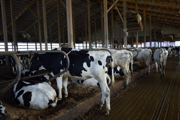 The barn is equipped with manure scrapers, a manure separation system, and 4.5 million gallons of manure storage.