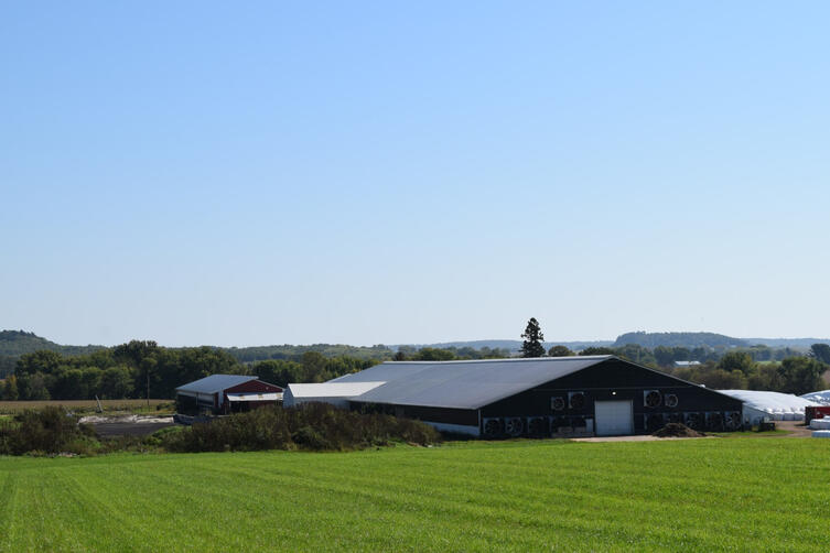 The barn is equipped with manure scrapers, a manure separation system