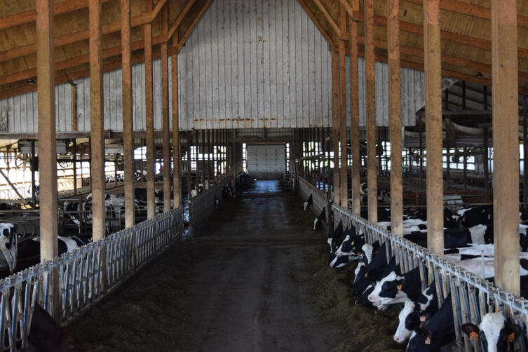 Questions? Call Willem @ 608 415 8402